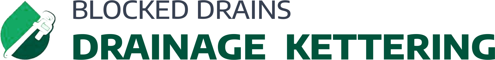 website logo